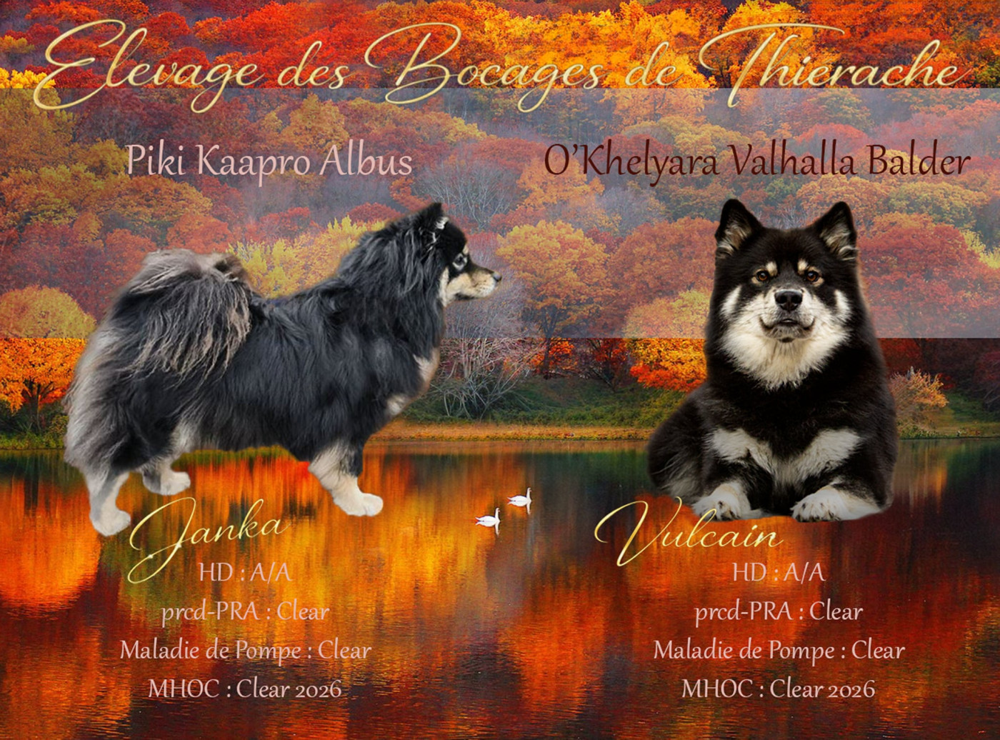 Des bébés sont attendus